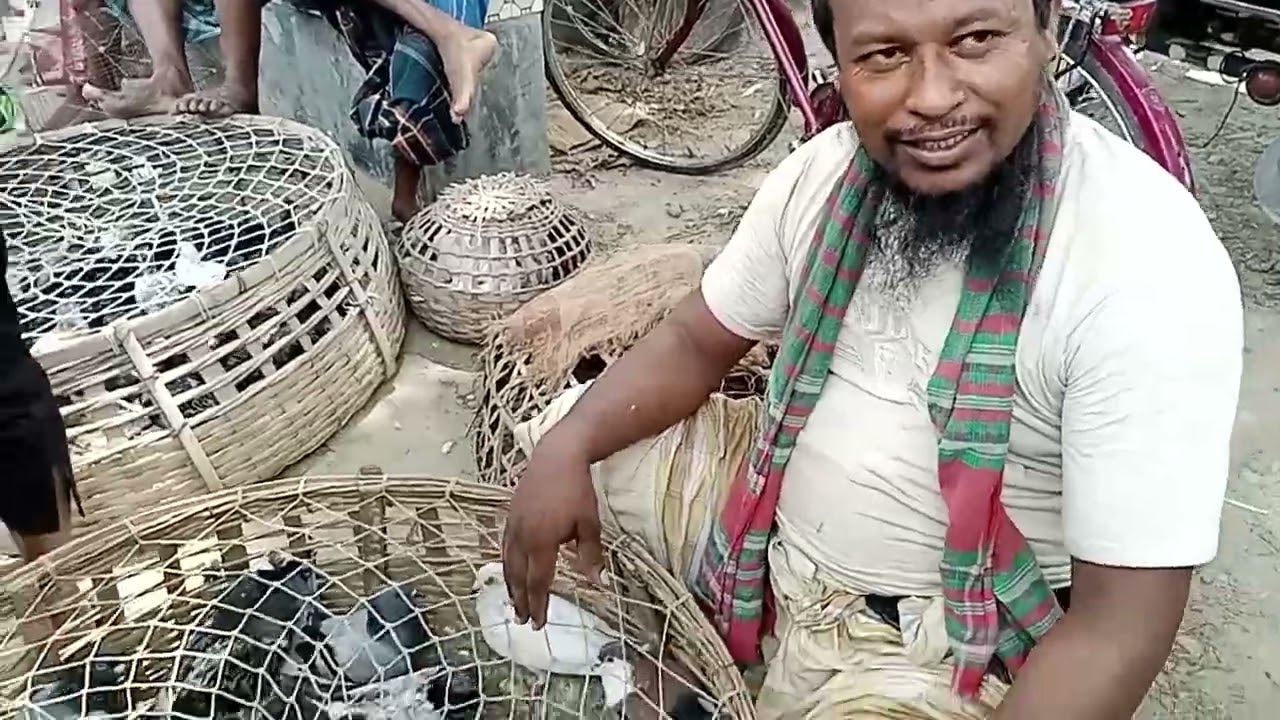 হাঁস মুরগি কবুতরের হাট মঙ্গলবার মিরপুর কুষ্টিয়া জেলা #video #banglastreet #funny #bird#music