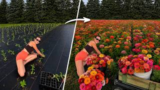 Planting A Big Attraction For Our Farm Market