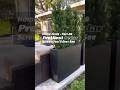 The Prettiest Cedar Privacy Screen You’ll Ever See| 👉🔗 Comments Bio #usareels #usatiktok #homefinds