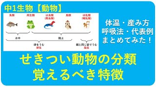 中1生物 せきつい動物 中学理科 ポイントまとめと整理