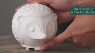 Mister Quill™ Essential Oil Diffuser by SpaRoom