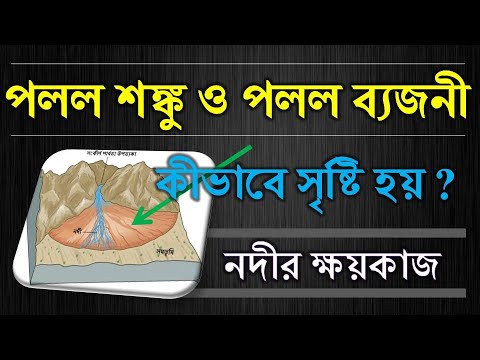 ভিডিও: শঙ্কুর একটি বিভাগ কীভাবে তৈরি করবেন