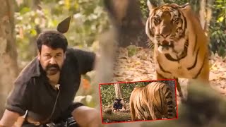 Mohanlal Powerpacked Tiger Action Fight Scene || Manyam Puli Movie Scenes || First Show Movies