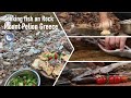 Cooking On a Rock Grill Fish &amp; Bread with greek salad in Nature of Mountain Pelion | Bushcraft