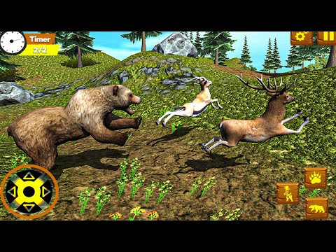 Bear Simulator Wild Animal - Simulation Game 2021 Android Gameplay