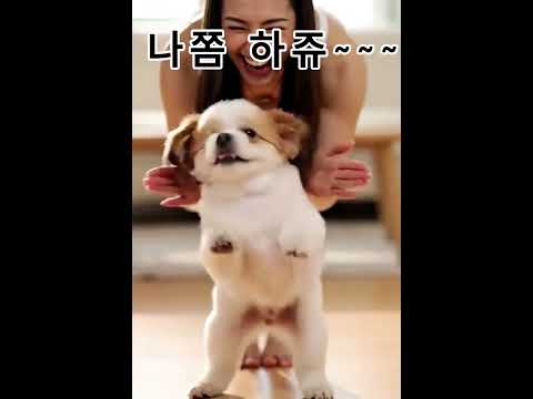 댄스타임