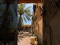 انا رديت لعيونك  _  متحف لقيت للماضي أثر