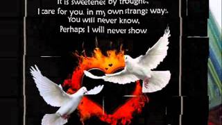 Arash feat. Helena - Broken Angel - Free MP3 Download_ Lyrics & Chordsramiz 03237756227.wmv