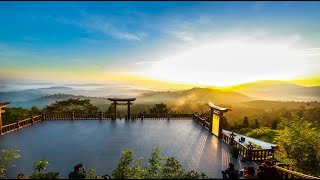 NIKAYA Thiền Quán - Tâm Thương - Tâm Vui - Tâm Biết Ơn Rộng Lớn