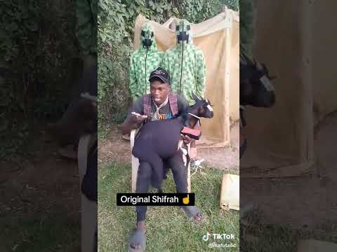 Hoozambe - Mudra
