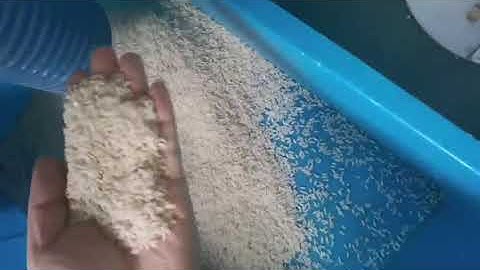 Hons+ Rice color sorter machine---- size sorting performance