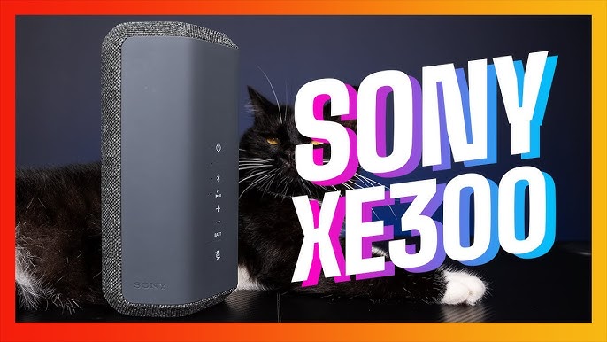 1. Giới thiệu về Sony SRS-XE300