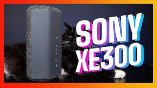 Sony SRS-XE300 - BỎ HƠN 4 CỦ ĐỂ NGHE TIẾNG "TRONG HANG" ??