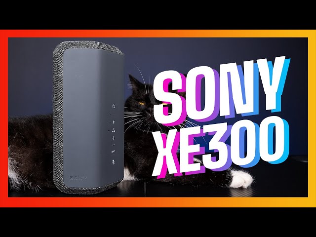 Sony SRS-XE300 - BỎ HƠN 4 CỦ ĐỂ NGHE TIẾNG "TRONG HANG" ??