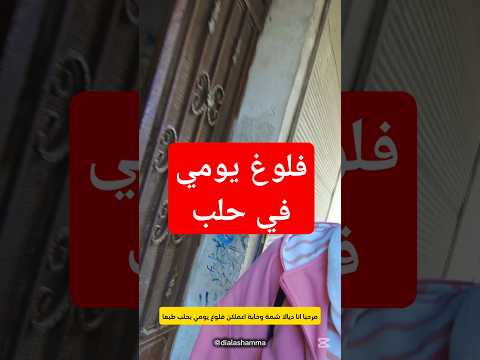 فلوغ يومي بحلب فلوغ حلب فلوغات اسعار حلب