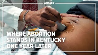 Where abortion stands in Kentucky one year after Supreme Court overturned Roe v. Wade