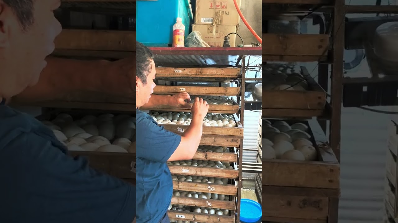 How to Calibrate The Digital Controller?