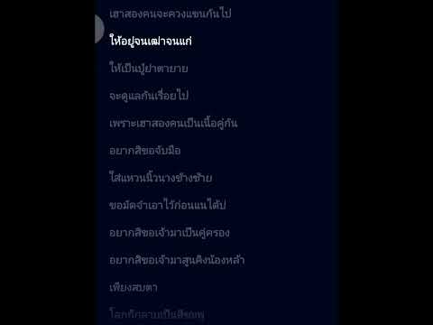เพลงเนื้อคู่  คาราโอเกะ