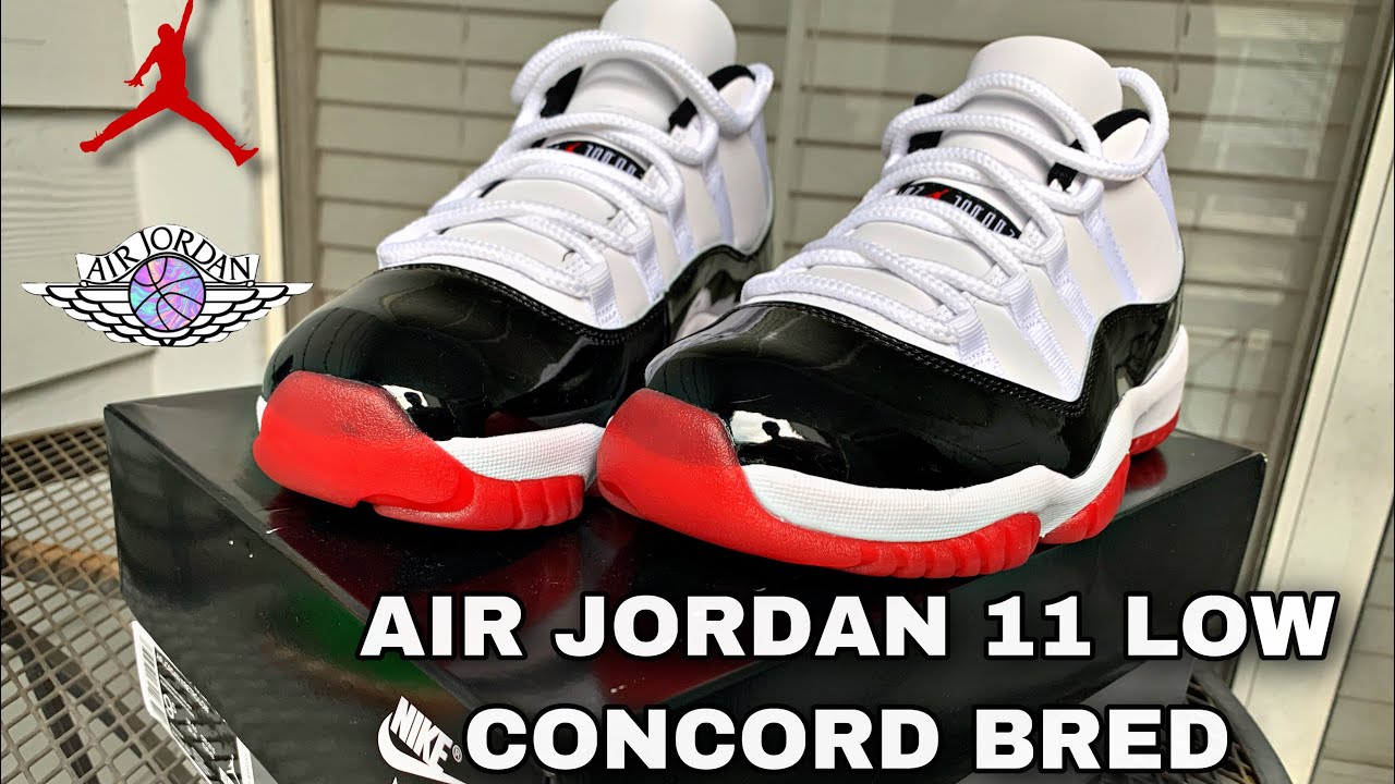 jordan 11 low concord bred on feet