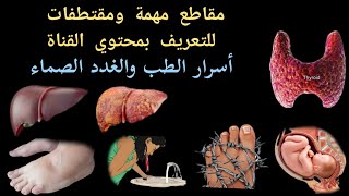 أسرار الطب والغدد الصماء مع د يوسف الملاحي @Dr_youssef by أسرار الطب والغدد الصماء 2,289 views 1 year ago 11 minutes, 20 seconds