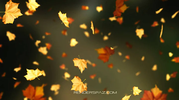 Fall Leaves Animated Wallpaper