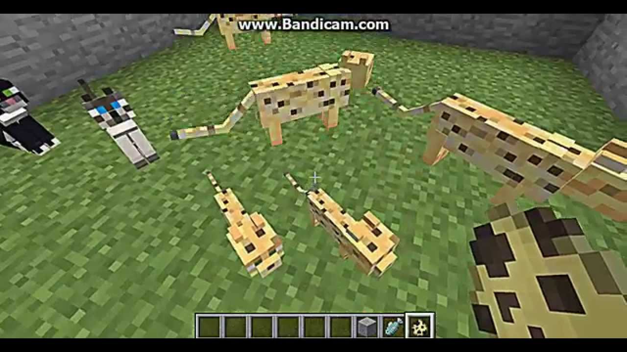 Minecraft 如何讓野貓變成加貓 灰貓 黑貓 白貓實況 歡迎訂閱 Youtube