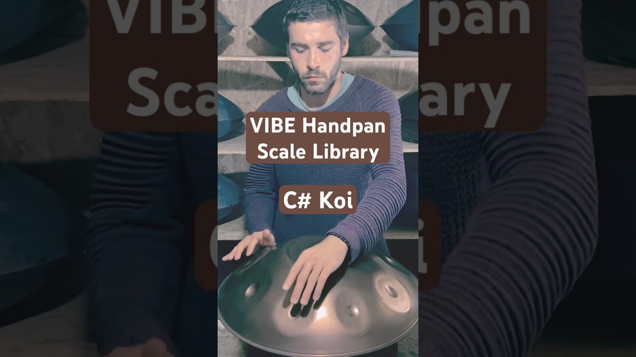 VIBE Handpan Scale Library C# Koi #handpan #music #koi #meditation #stainlesssteel #yoga #meditation