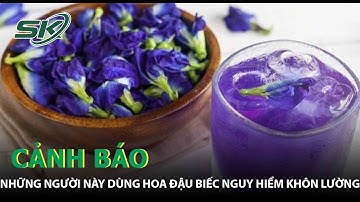 CẢNH BÁO: Nguy Hiểm Khôn Lường Khi Dùng Hoa Đậu Biếc