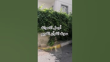 القارئ ماهر المعيقلي تلاوه خاشعة بصوت جميل اللهم اجعل القرآن ربيع قلوبنا ونور صدورنا# راحة_نفسية ❤️