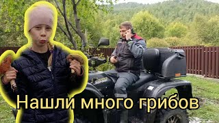 видео: За грибами к Байкалу на STELS LEOPARD 600Y. То, что случилось в конце, мы не ожидали.  картинка: За грибами к Байкалу на STELS LEOPARD 600Y. То, что случилось в конце, мы не ожидали.