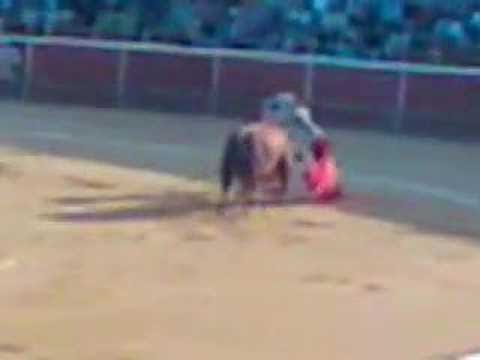 The Bull Fight (Pepn Liria)