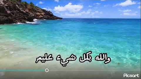 الله نور السموات والأرض.. سورة النور