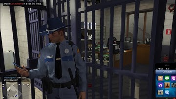 Cops: Live in the LSPDFR Matrix, 15