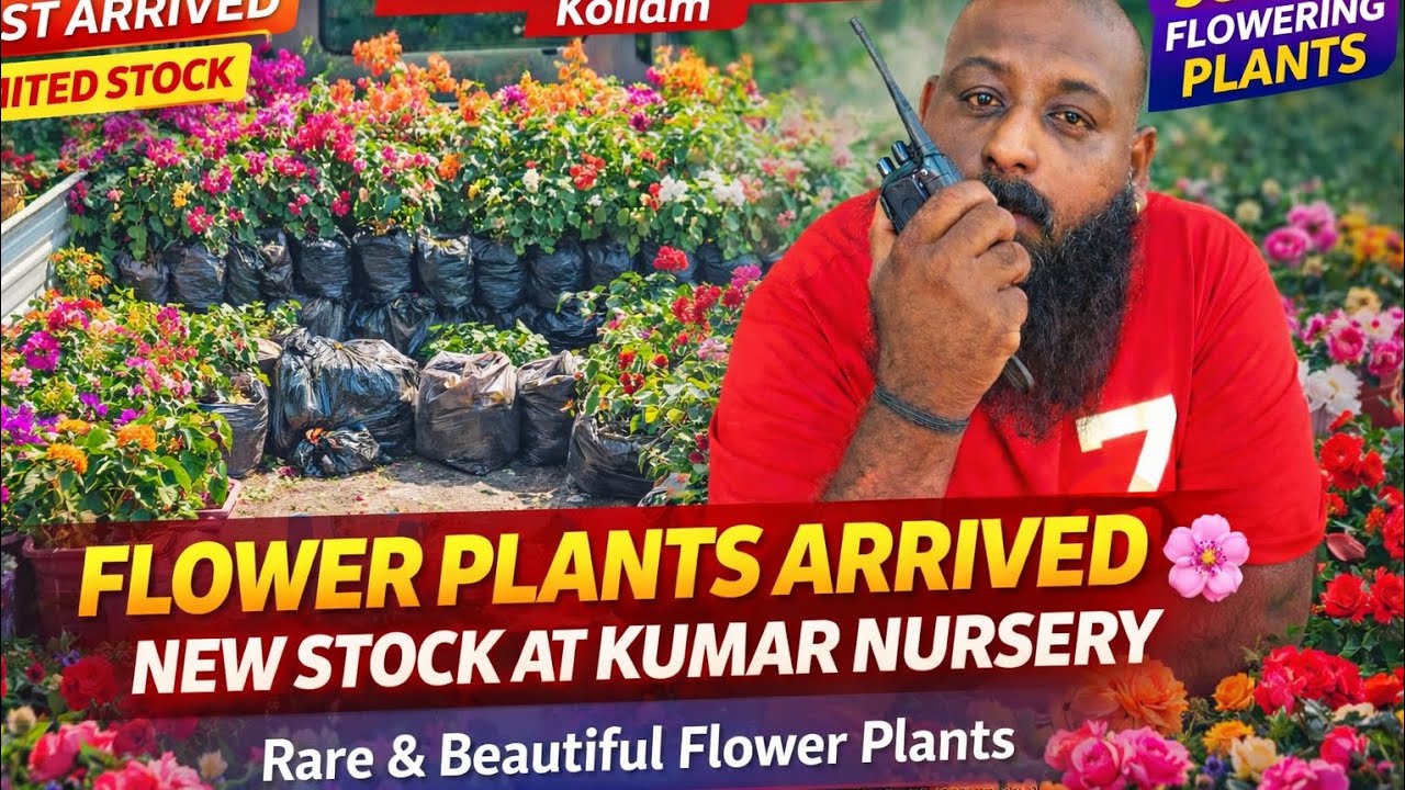 Truck Load Flower Plants Arrived 🌸 | New Stock at Kumar Nursery Kollam