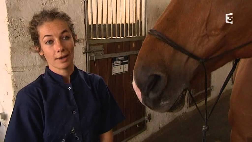 Dentiste pour chevaux, un métier en plein développement - Radio Scoop