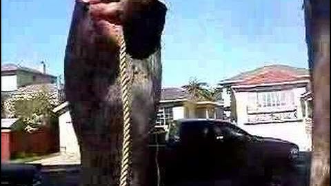 Steve Maxwell "Windshield Wiper" Rope Climb