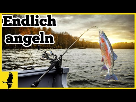 Wie macht man einen Angelschein (Fischereischein)? - Anleitung, Kosten, Erfahrung mit Fishing-King