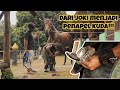 HORSESHOEING INDONESIA || PASANG SEPATU KUDA YANG BENAR !!!