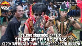 Ratunya Celeng Tanggamus Turonggo Restu Budoyo #jarananviral