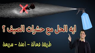 الحل الامثل مع حشرات الصيف