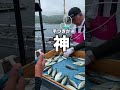 シマアジの赤ちゃんにワクチン打ちます。#shorts