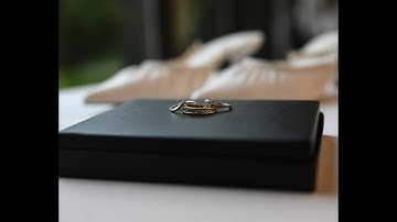 Hitched & Happy: The Ha Family Adventure Begins