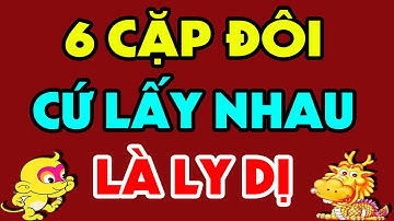 6 Cặp Con Giáp Xung Khắc Hễ Kết Đôi Không Tán Gia Bại Sản Thì Cũng Ly Dị Sớm  (Xem Ngay Để Hóa Giải)