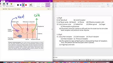 Form 3 Science Chapter 1 Stimuli and Responses Exercise discussion part 2