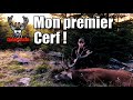 Chasse au cerf  red stag hunting