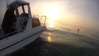 Boat Fishing on Open Ground for Big Conger Eels and other Sea Critters!