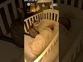 This Cat Just Became the Sweetest Babysitter Ever 🐱❤️