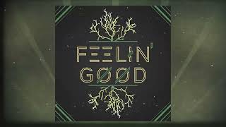 Feelin' Good Lyric Video - Christina Grimmie x The Similar x mGrim