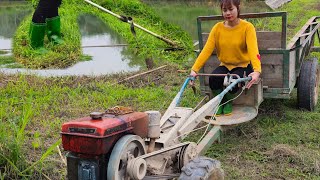 Drive the tractor to cut fish grass, trim trees, feed the fish and relax after a day of work.