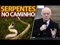 Os perigos e as serpentes no meio do caminho da vida | Pastor Paulo Seabra